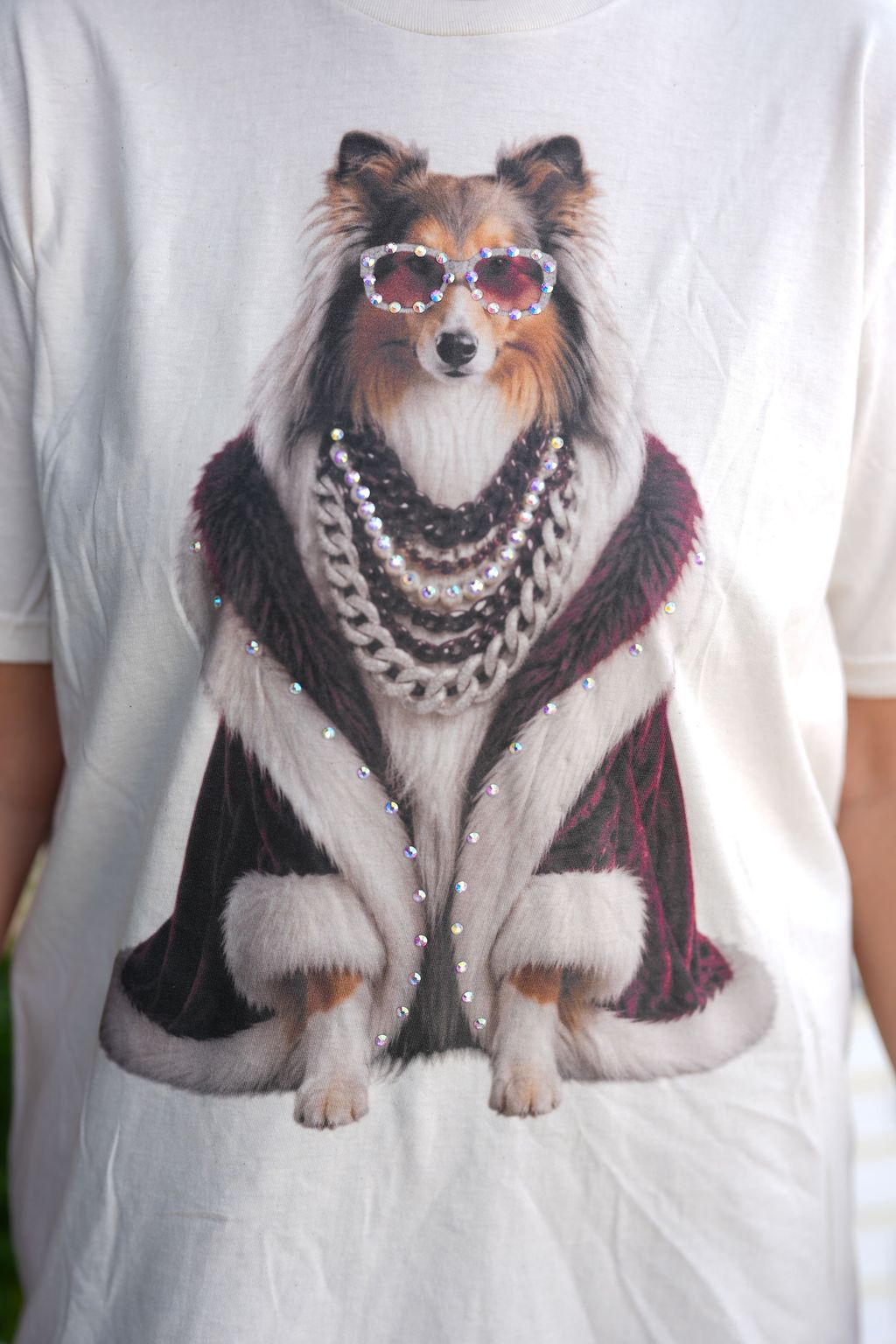 Gameday Rough Collie Tee